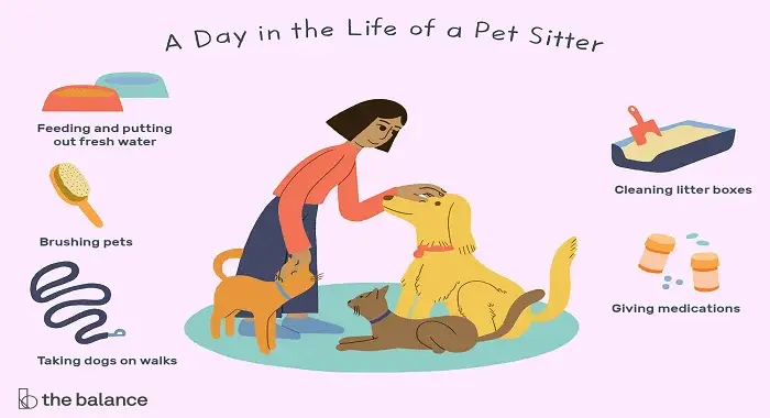 pet sitting services