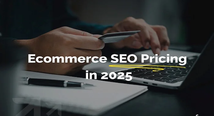 How much does SEO Ecommerce cost