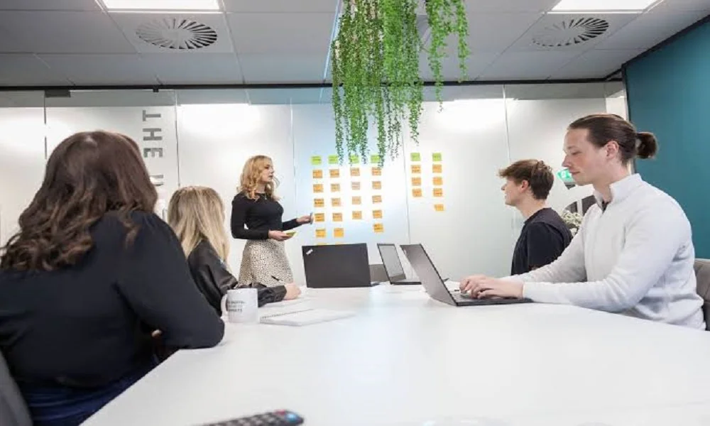 The SEO Works agency has helped many industries grow